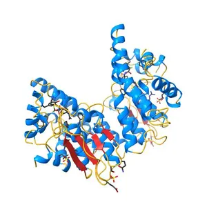 Human GSTO1-1 complexed with ML175