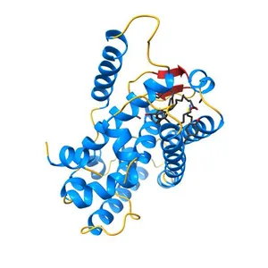 Human Liver Receptor Homolog-1 in Complex with 10CA and a Fragment of Tif2