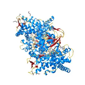 Heme-domain BM3 mutant T268E