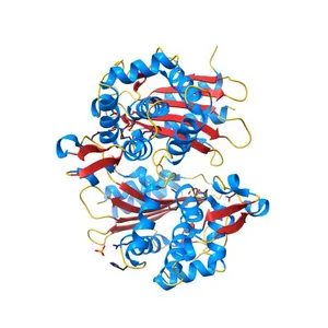 X-ray diffraction structure of the CTX-M-14 beta-lactamase-avibactam complex an inhibitor cocktail-soaked crystal
