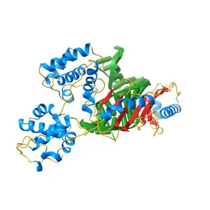 TFIIB (HUMAN CORE DOMAIN)/TBP (A.THALIANA)/TATA ELEMENT TERNARY COMPLEX