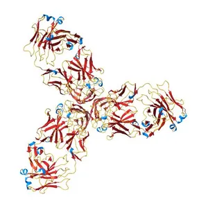 Crystal structure of TNF-alpha in complex with Infliximab Fab fragment
