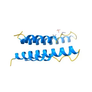 HIV-1 Rev assembly domain (residues 1-69)