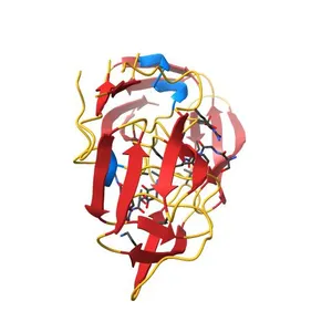 HIV-1 protease (D25N, inactive) in complex with phage display optimized substrate SGIFLETS