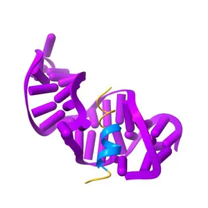 RNA APTAMER COMPLEXED WITH HIV-1 REV PEPTIDE, NMR, 7 STRUCTURES