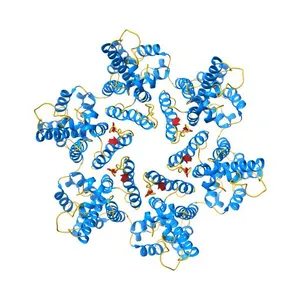 cryoEM structure of HIV-1 KAKA/G225R mature CA hexamer