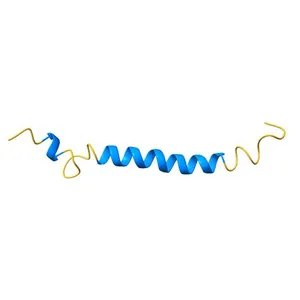 NMR structure of the (345-392)Gag sequence from HIV-1