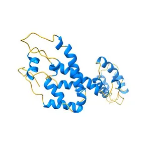 Atomic-Resolution Structure of HIV-1 Capsid Tubes by Magic Angle Spinning NMR