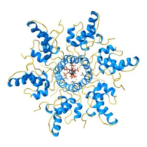 Immature HIV-1 CACTD-SP1 lattice with Bevirimat (BVM) and Inositol hexakisphosphate (IP6)