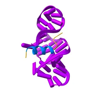 COMPLEX OF HIV-1 RRE-IIB RNA WITH RSG-1.2 PEPTIDE