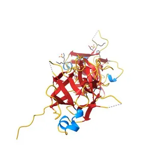 Crystal structure of Interleukin-37