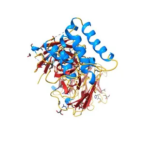 HIV-1 neutralizing antibody Z13e1 in complex with epitope display protein