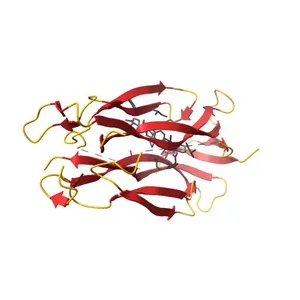 Crystal structure of human IL-17A cytokine in complex with macrocycle