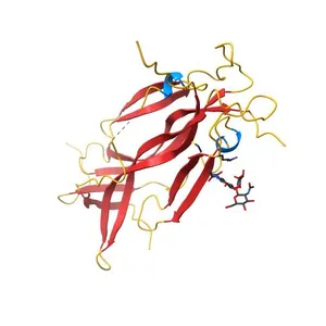 Crystal Structure of Human IL-17AF