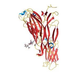 Crystal Structure of human IL-17AF in complex with human IL-17RA