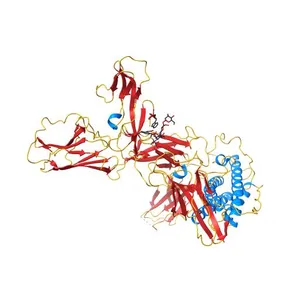 The Cryo-EM structure of IL-12, receptor subunit beta-1 and receptor subunit beta-2 complex, local refinement