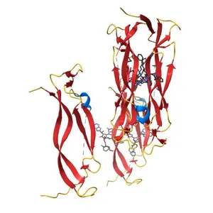 IL17A homodimer complexed to Compound 23