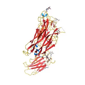 Crystal structure of an Interleukin-17 receptor complex
