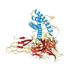 Crystal structure of ustekinumab FAB/IL-12 complex