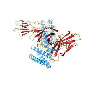 INTERLEUKIN-23 COMPLEX WITH AN ANTAGONISTIC ALPHABODY, CRYSTAL FORM 2