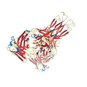 Fab antigen complex