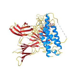 Crystal structure of IL-23 in complex with an adnectin