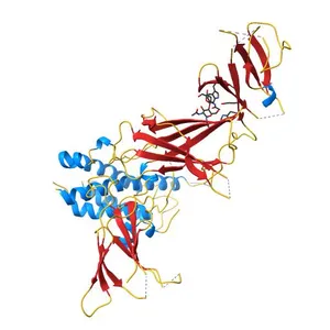 Crystal structure of IL23 bound to peptide 23-652