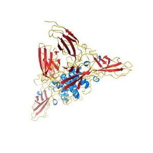 3:1 COMPLEX OF INTERFERON-GAMMA RECEPTOR WITH INTERFERON-GAMMA DIMER