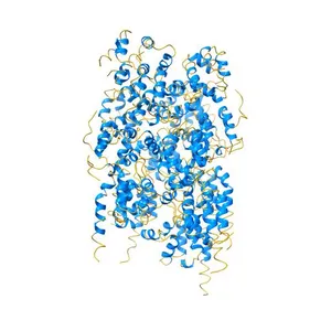 The ternary Death Domain complex of MyD88, IRAK4, and IRAK2