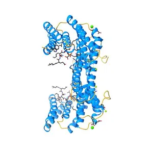 Crystal structure of 14-3-3 sigma in complex with RIPK2 phosphopeptide