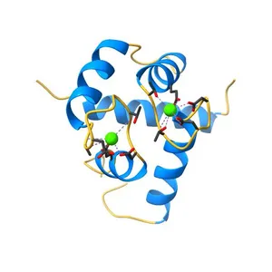 NMR solution structure of a Ca2+-Calmodulin with a binding motif (NSCaTE) peptide from the N-terminal cytoplasmic domain of the L-type Voltage-Cated Calcium Channel alpha1C subunit