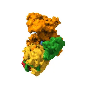 Structure of a human EMC:human Cav1.2 channel complex in GDN detergent