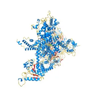 Structure of the human L-type voltage-gated calcium channel Cav1.2 complexed with gabapentin