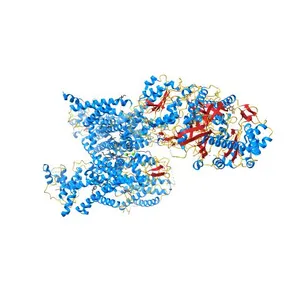Cryo-EM structure of human high-voltage activated L-type calcium channel CaV1.2 (apo)