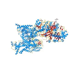 Cryo-EM structure of human high-voltage activated L-type calcium channel CaV1.2 in complex with tetrandrine (TET)