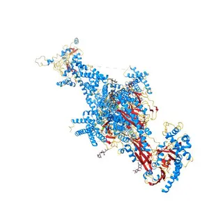 Human L-type voltage-gated calcium channel Cav1.2 at 2.9 Angstrom resolution