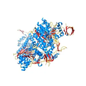 Cardiac myosin motor domain in the pre-powerstroke state co-crystallized with the inhibitor aficamten