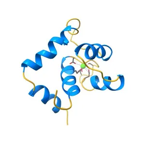 The structural and functional effects of the Familial Hypertrophic Cardiomyopathy-linked cardiac troponin C mutation, L29Q