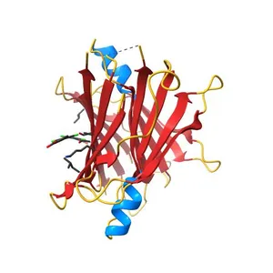 Crystal structure of human transthyretin variant A97S in complex with Tafamidis