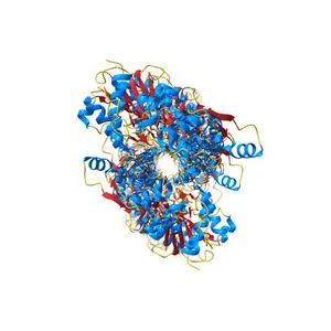 Cryo-EM structure of recombinant wildtype ACTA1 phalloidin-stabilized F-actin