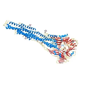 Structure of the RSV F protein in the post-fusion conformation