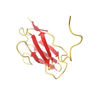3D NMR structure of domain cC0 of cardiac myosin binding protein C (MyBPC)