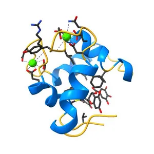 The Solution Structure of Human Cardiac Troponin C in complex with the Green Tea Polyphenol; (-)-epigallocatechin-3-gallate