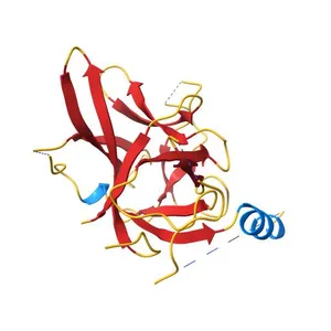 Crystal structure of mouse Ryanodine Receptor 2 (1-217) disease mutant P164S