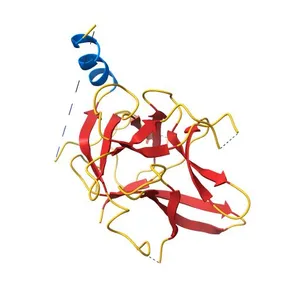 Crystal structure of mouse Ryanodine Receptor 2 (1-217) disease mutant R169Q