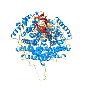 Crystal structure of human very long chain acyl-CoA dehydrogenase (ACADVL)