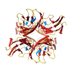 Structure of the immunoglobulin tandem repeat A168-A169 of titin