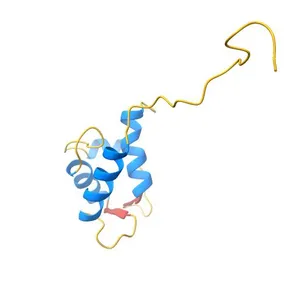 Solution NMR structure of the C-terminal EF-hand domain of human cardiac sodium channel NaV1.5