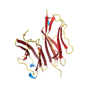 Crystal structure of the titin C-terminus in complex with obscurin-like 1
