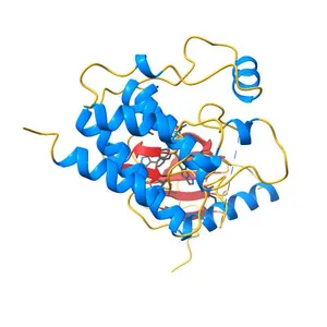 Non-oxime pyrazole based inhibitors of B-Raf kinase